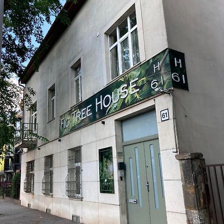 Apartmán Fig Tree House Budapešť Exteriér fotografie